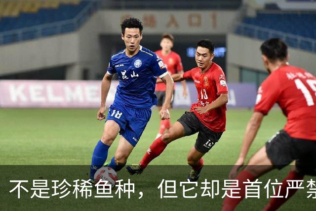 不是珍稀鱼种，但它却是首位严禁垂钓的鱼，鲢鳙的地位这么高？