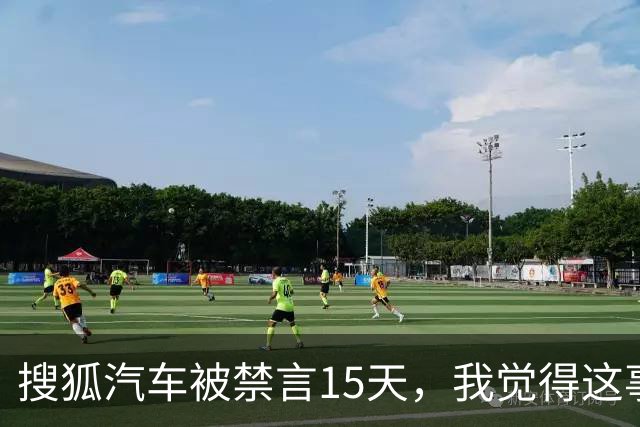 搜狐汽车被禁言15天，我觉得这事儿真没那么简单