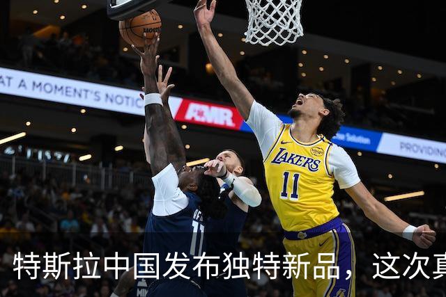 特斯拉中国发布独特新品，这次真买得起了！