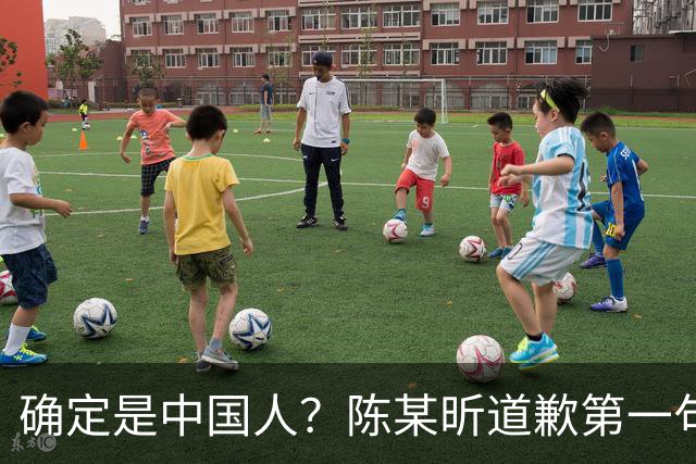 确定是中国人？陈某昕道歉第一句话就“露馅”了，央视公布新进展